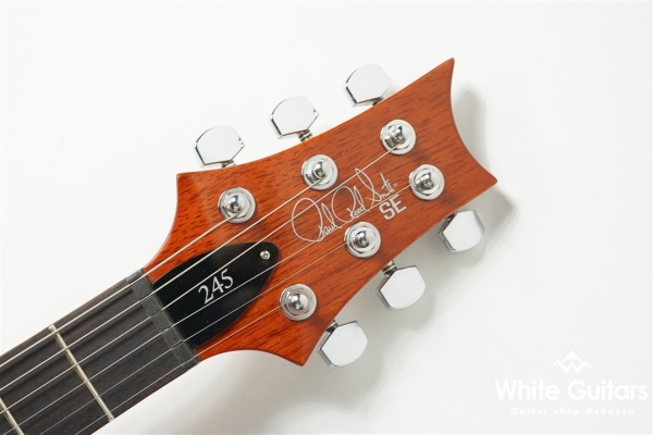 SE 245 - Vintage Sunburst